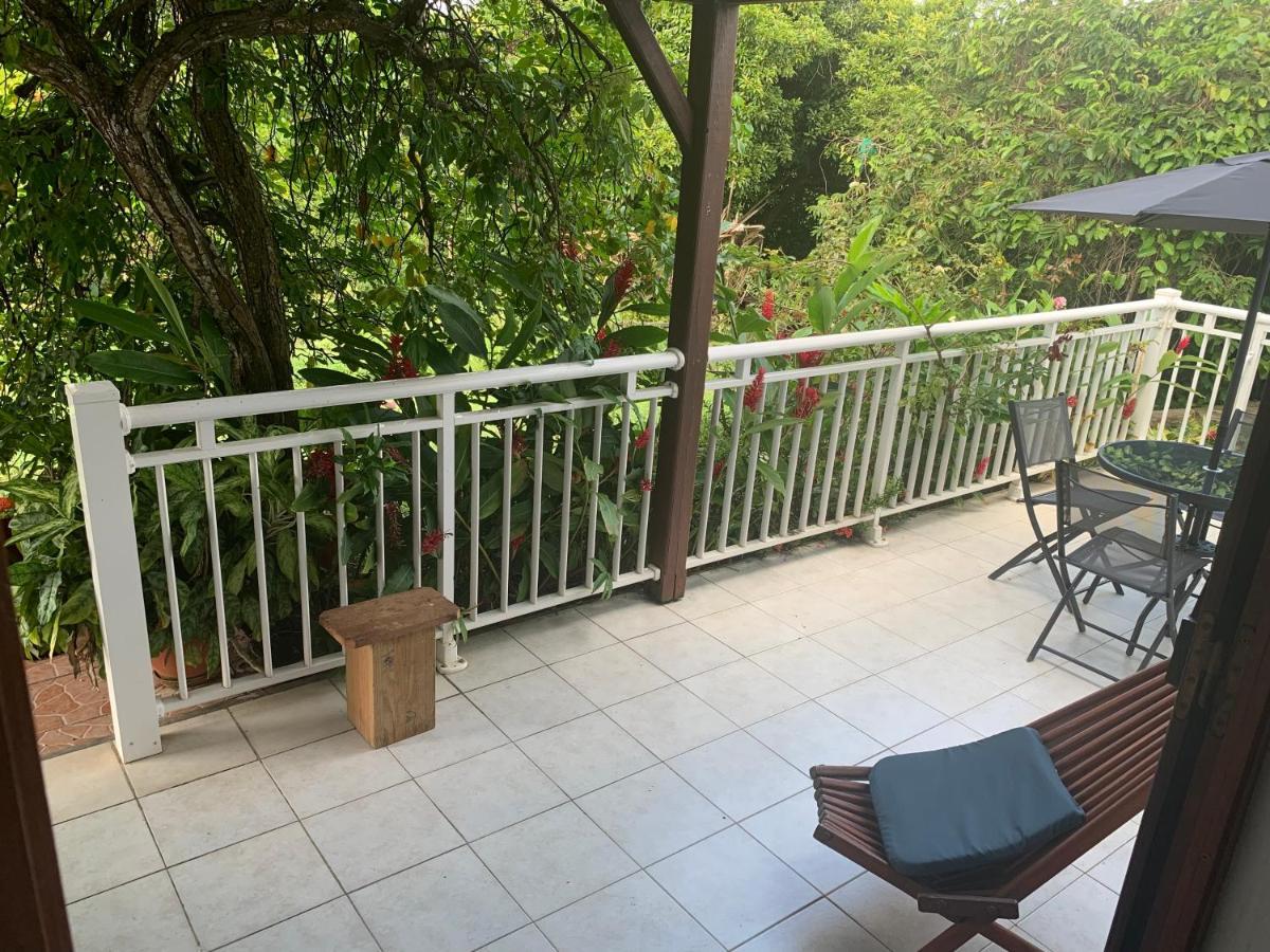 Logement Vacances Gissac Sainte-Anne Экстерьер фото